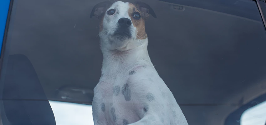 Car Lockout Solutions in Paso Robles, California